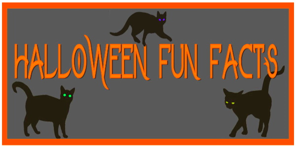 Halloween Fun Facts and Black Cats – audrahart.com